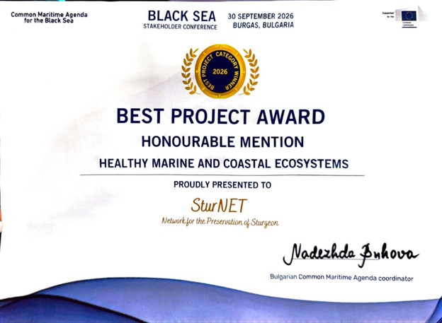 Black Sea Project Awards Honourable Mention certificate presented to SturNet